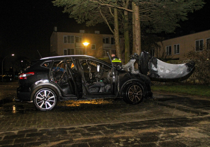 meidoornbrand2 (6).jpg